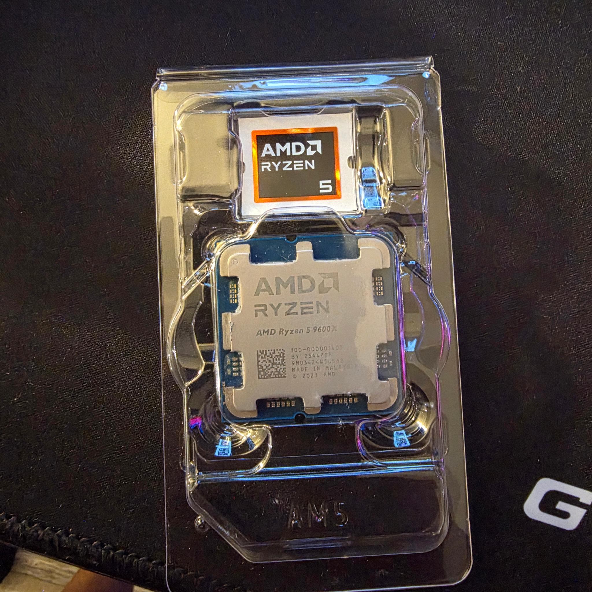 Ryzen 5 9600x