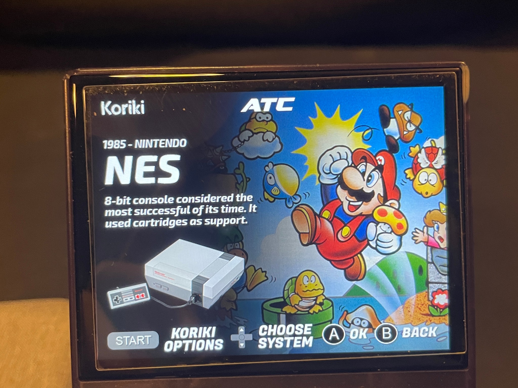 Ambernic Handheld Customized Koriki OS With Accessories