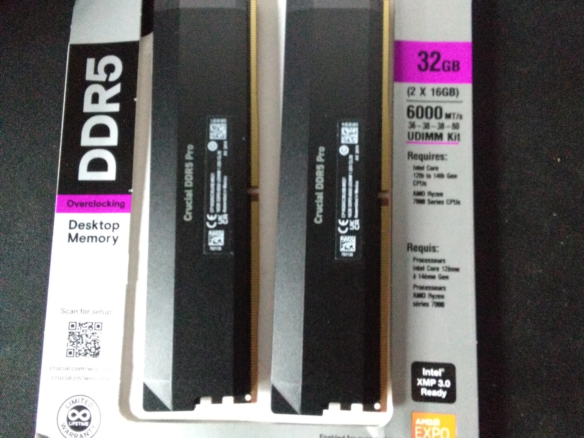 Crucial Pro Overclocking 32GB (2 x 16GB) DDR5 6000 (PC5 48000) Desktop Memory Model CP2K16G60C36U5B