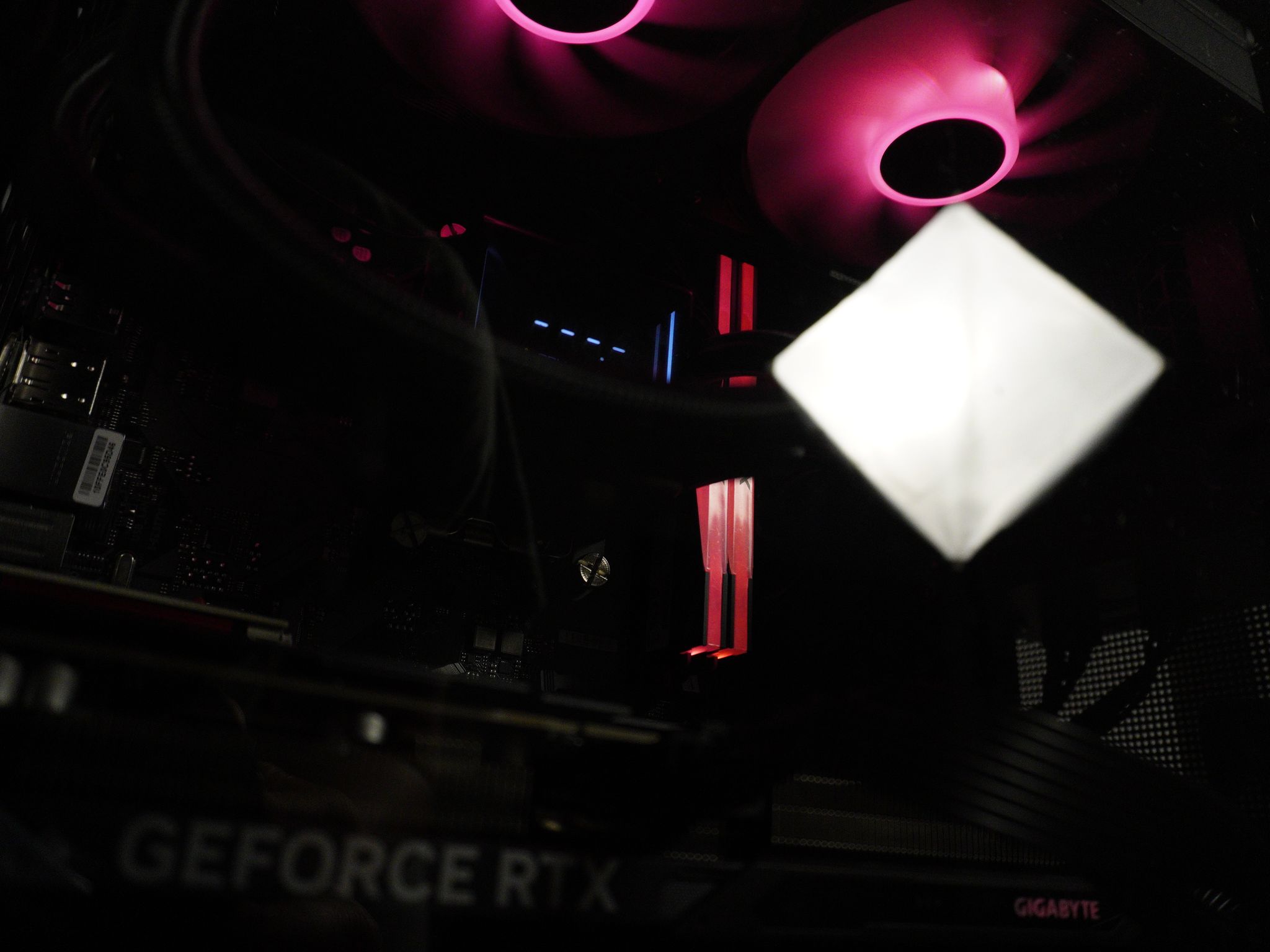 Squish Beast | RTX 5060 TI 8GB| RYZEN 5 7600X | 32GB DDR5 | 960GB 2.5 SSD | + Hotdog Sticker