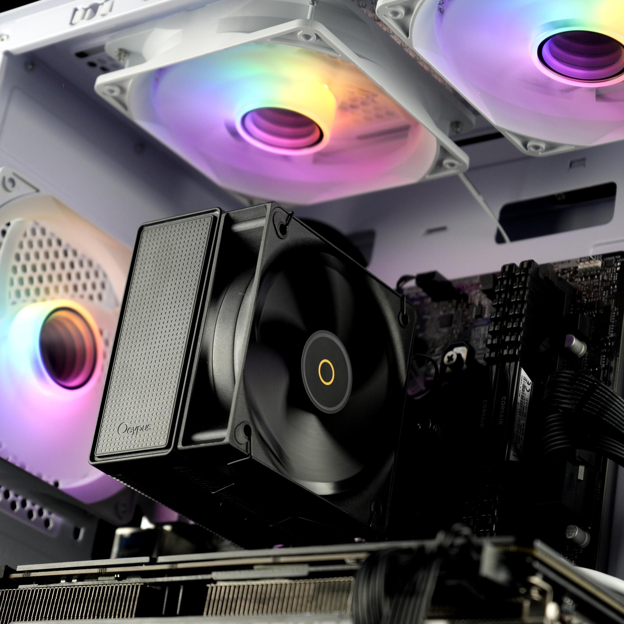 💜🪻🟣 PLUM - GTX 1080 Ti | intel i5 | 16GB RAM | 1.1TB SSD 🟣🪻💜