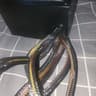 ThermalTake Smart600w 80+gold PSU