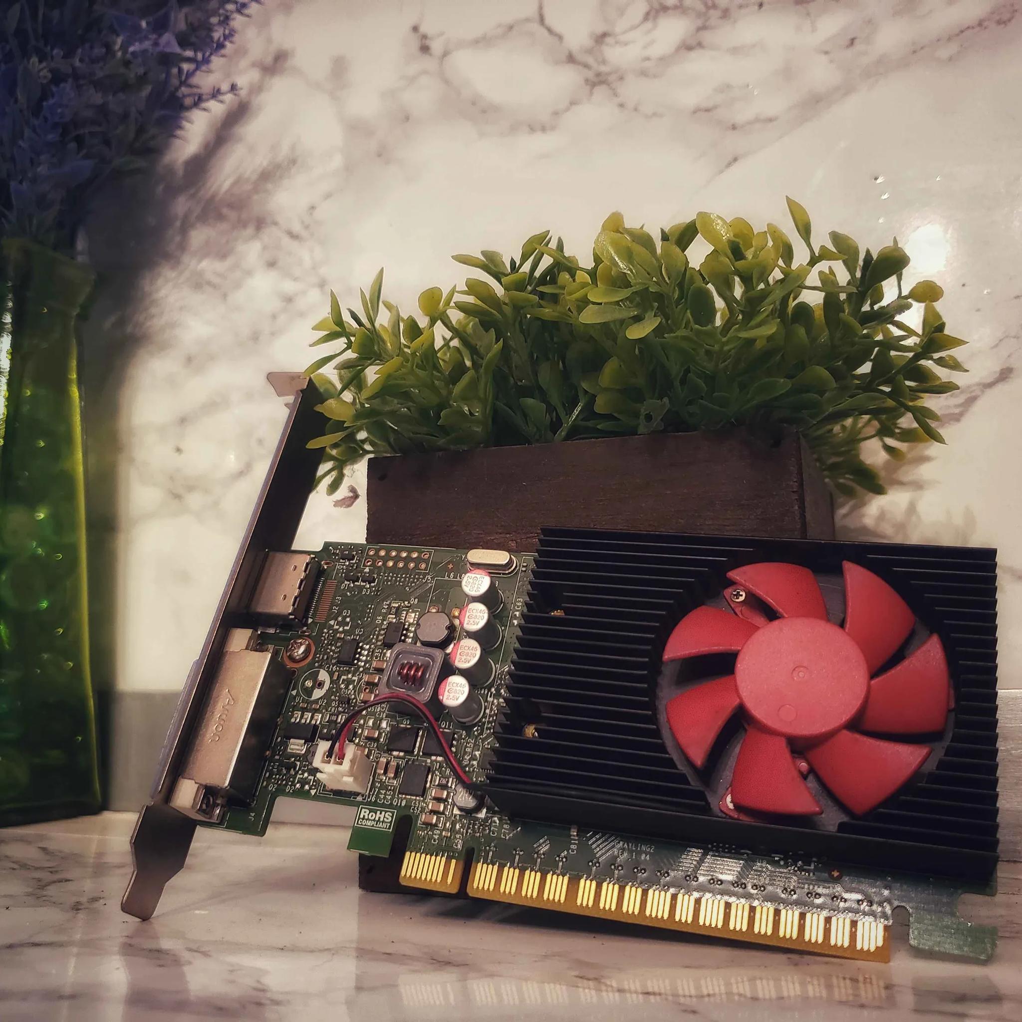 HP NVIDIA GeForce GT 730 2GB GDDR5 | Budget Gaming GPU
