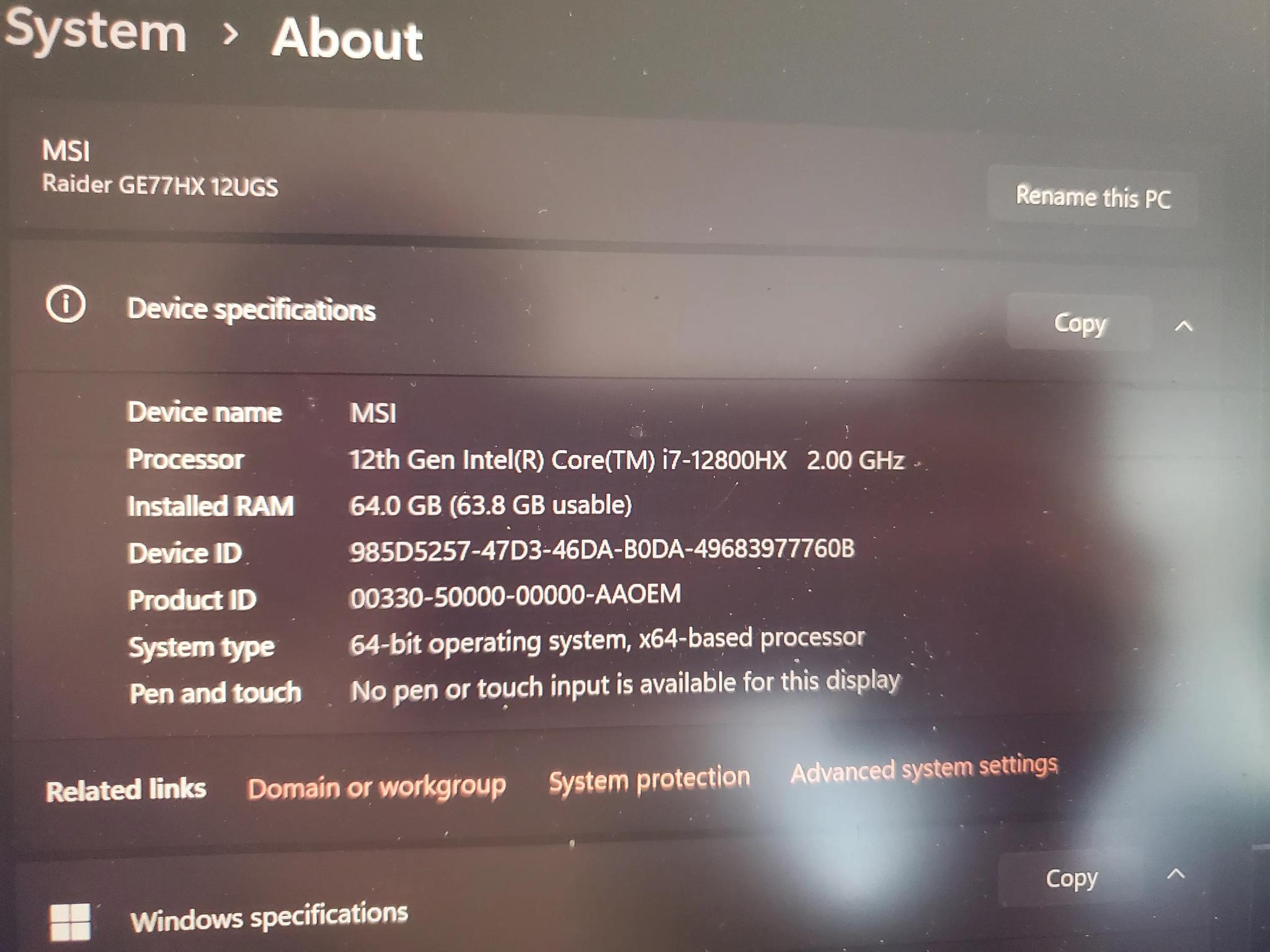 MSI Raider GE77HX 64gb DDR5 3070ti