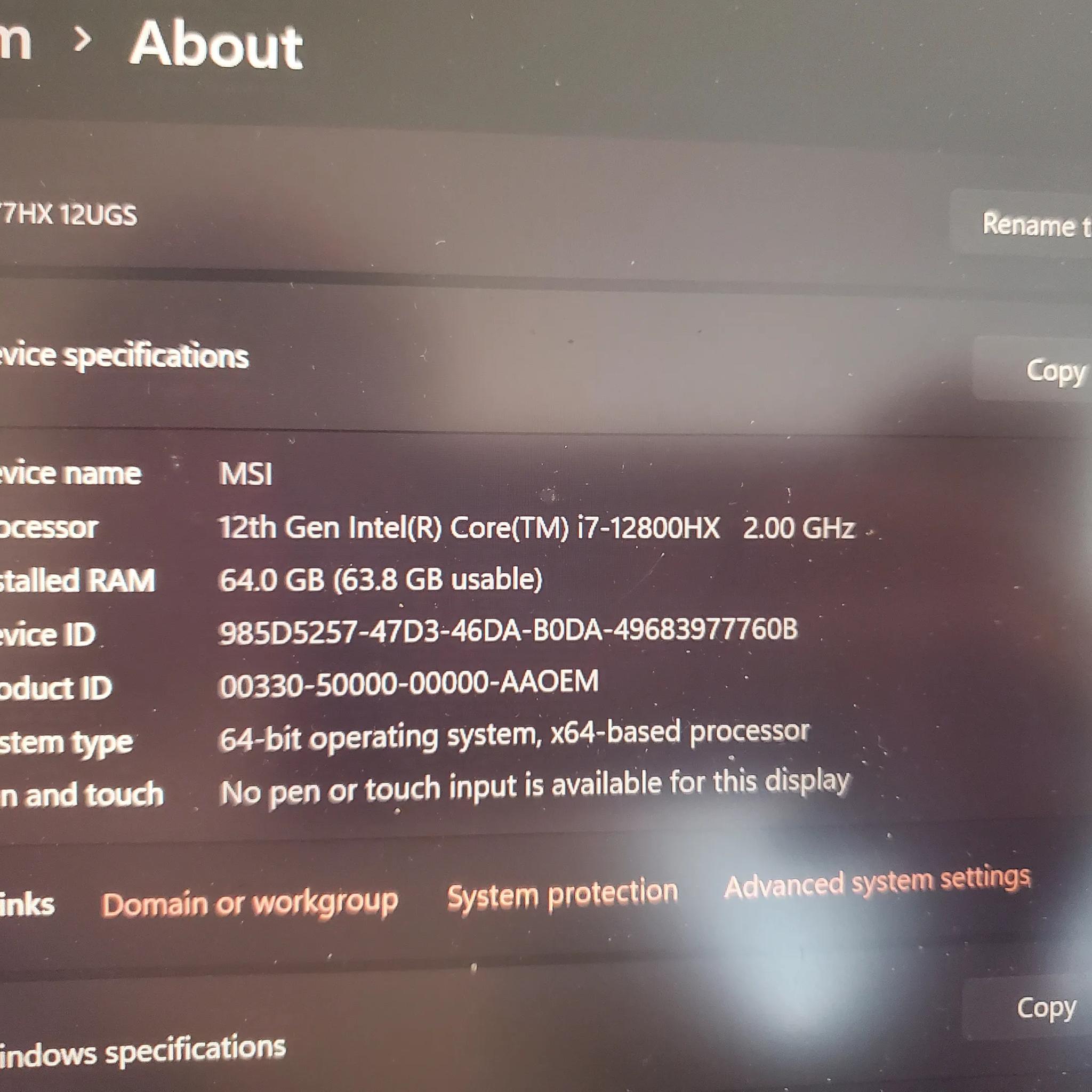 MSI Raider GE77HX 64gb DDR5 3070ti