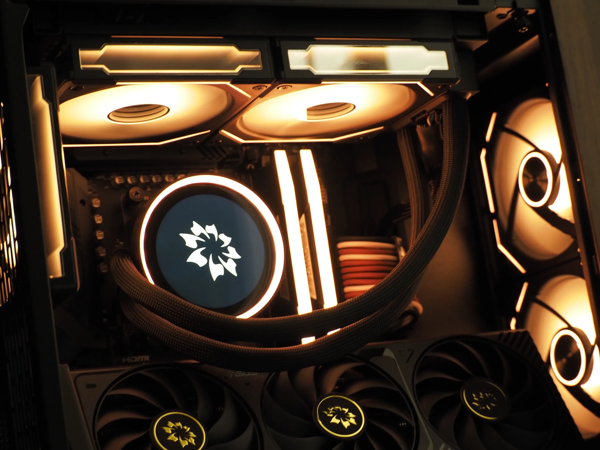 "Nocturne SE" by Optimist | The Elegance Series