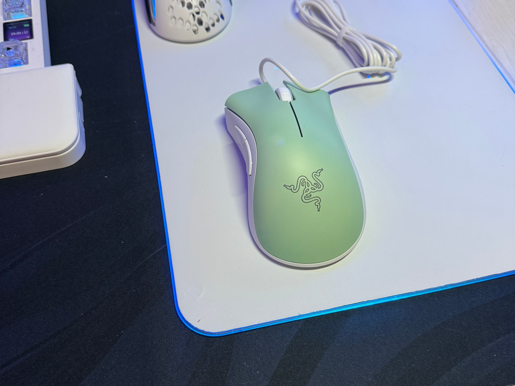 Razer DeathAdder Essential  Wired Gaming Optical Mouse, Custom White/Mint Green.