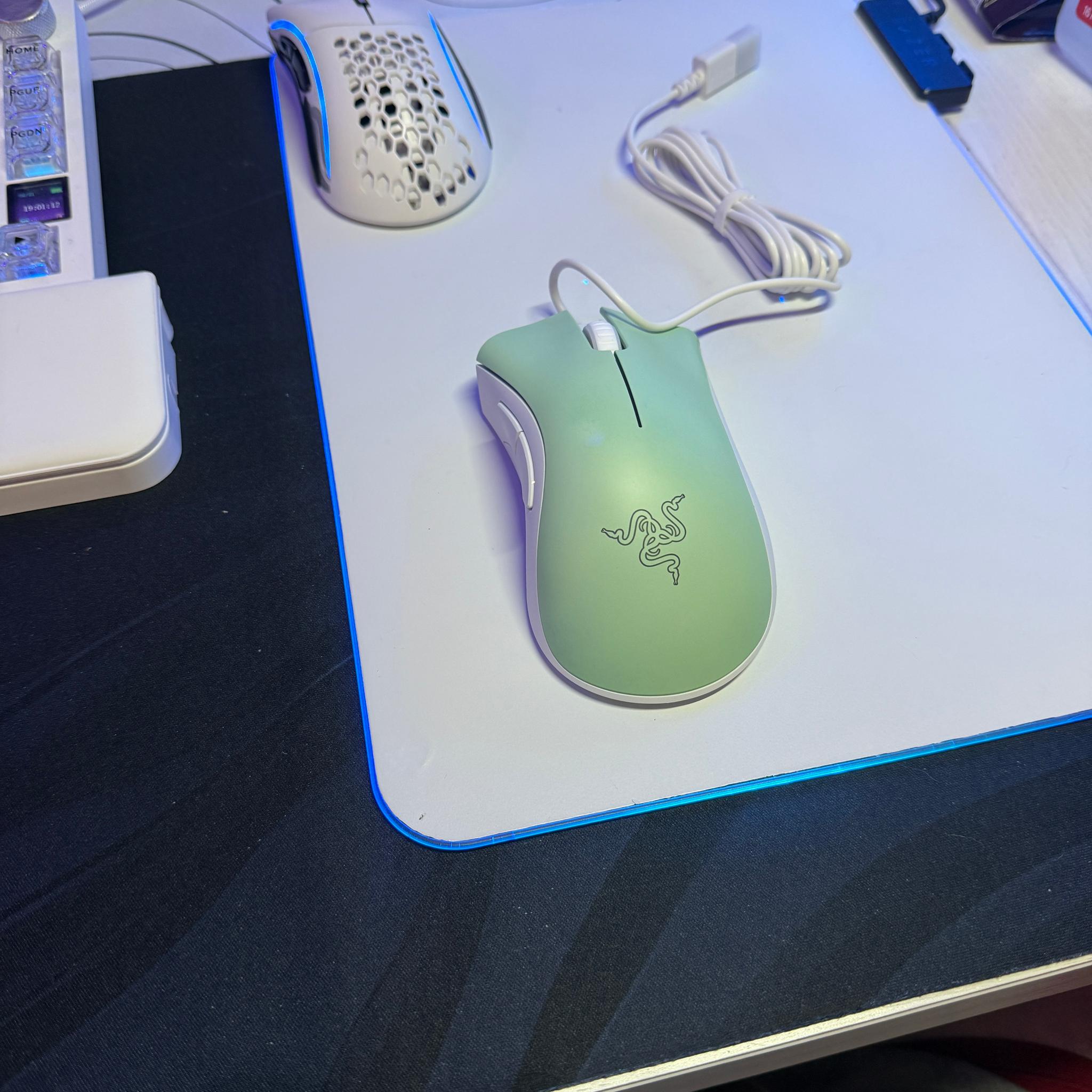 Razer DeathAdder Essential  Wired Gaming Optical Mouse, Custom White/Mint Green.