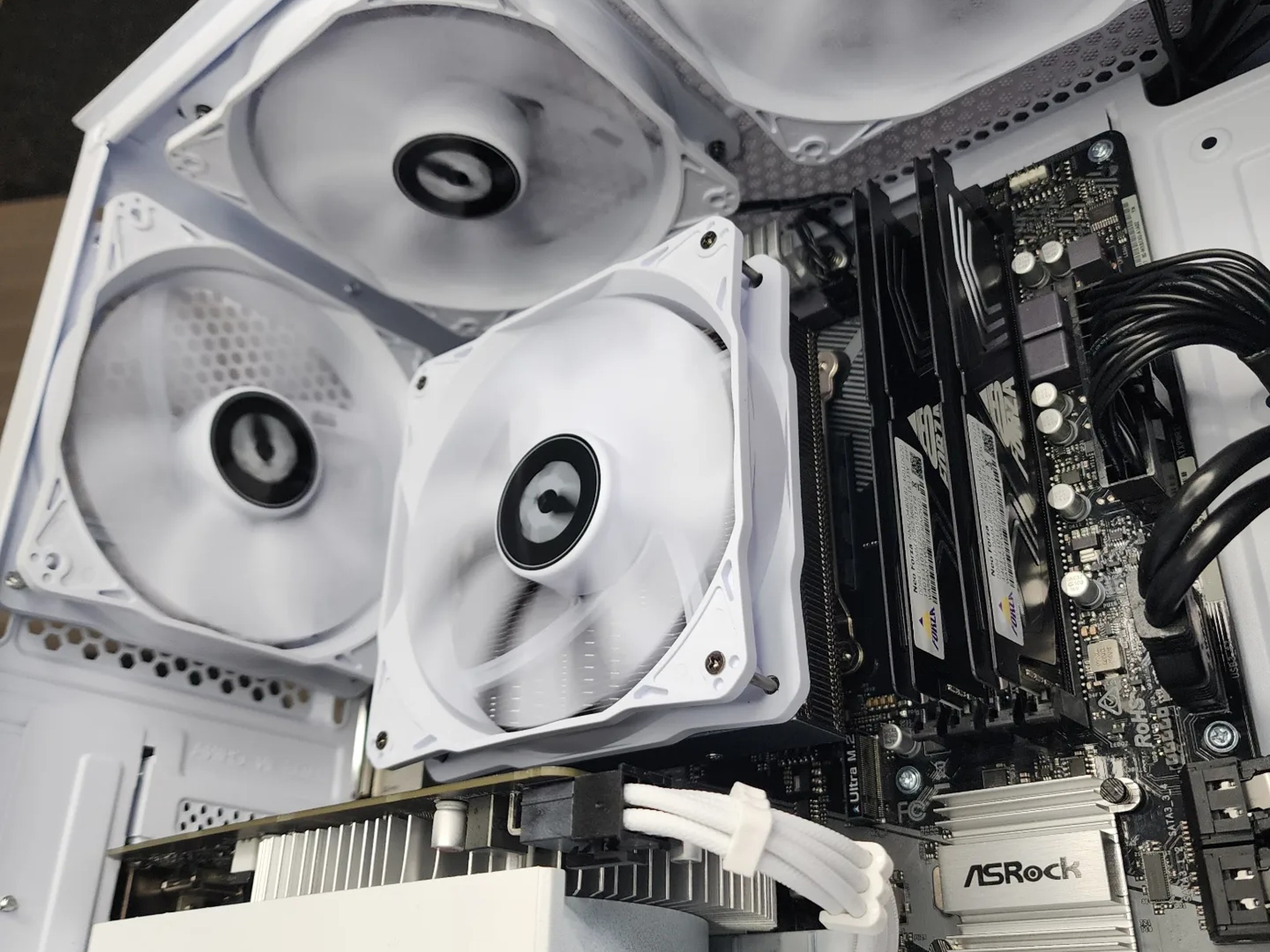 🐻‍❄🐻‍❄🐻‍❄ Nvidia GTX 1650 Super // Ryzen 5 3500X // Neo Forza 16GB 3600MHz
