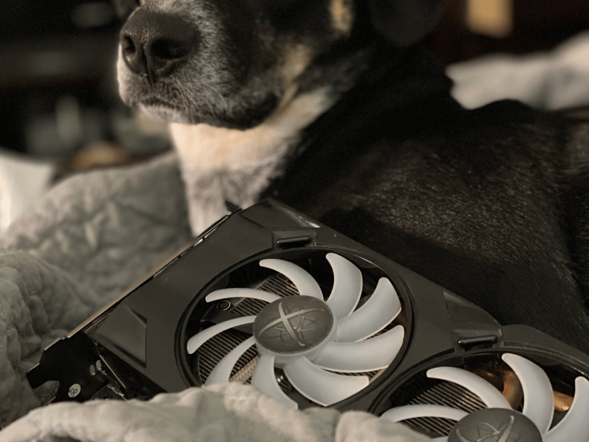 XFX Radeon RX 480 4GB