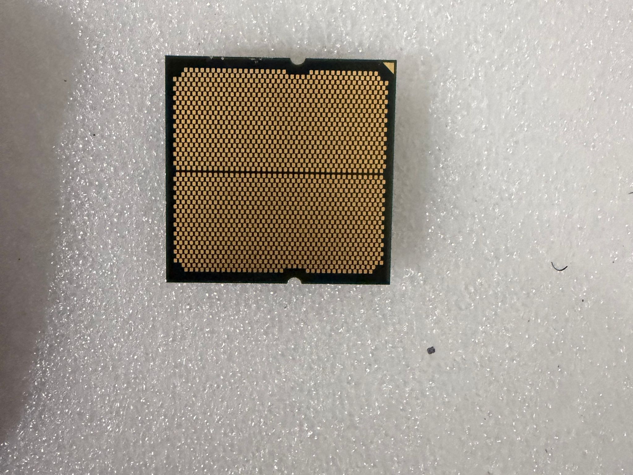 AMD Ryzen 5 7600X Free Shipping