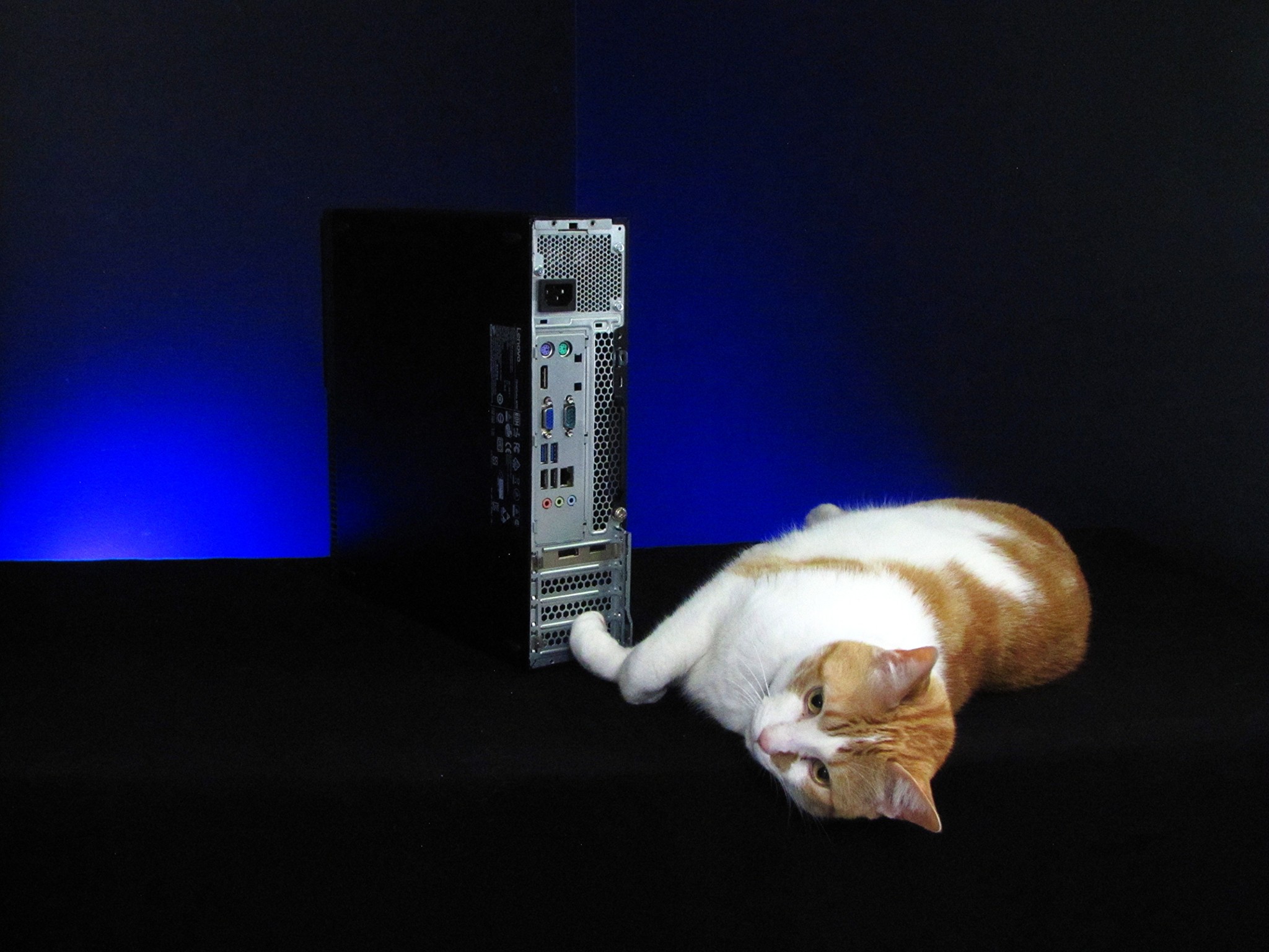 120FPS+ Fortnite Gaming tower, i7-6700, GTX 1650 4GB, 16GB RAM, Windows 11, Cat not included*