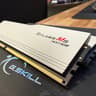 (WHITE) G. Skill RipJaws M5 neo RGB 32GB Kit (16x2) | DDR5 6000 CL36  EXPO/XMP AMD for Ryzen/Intel