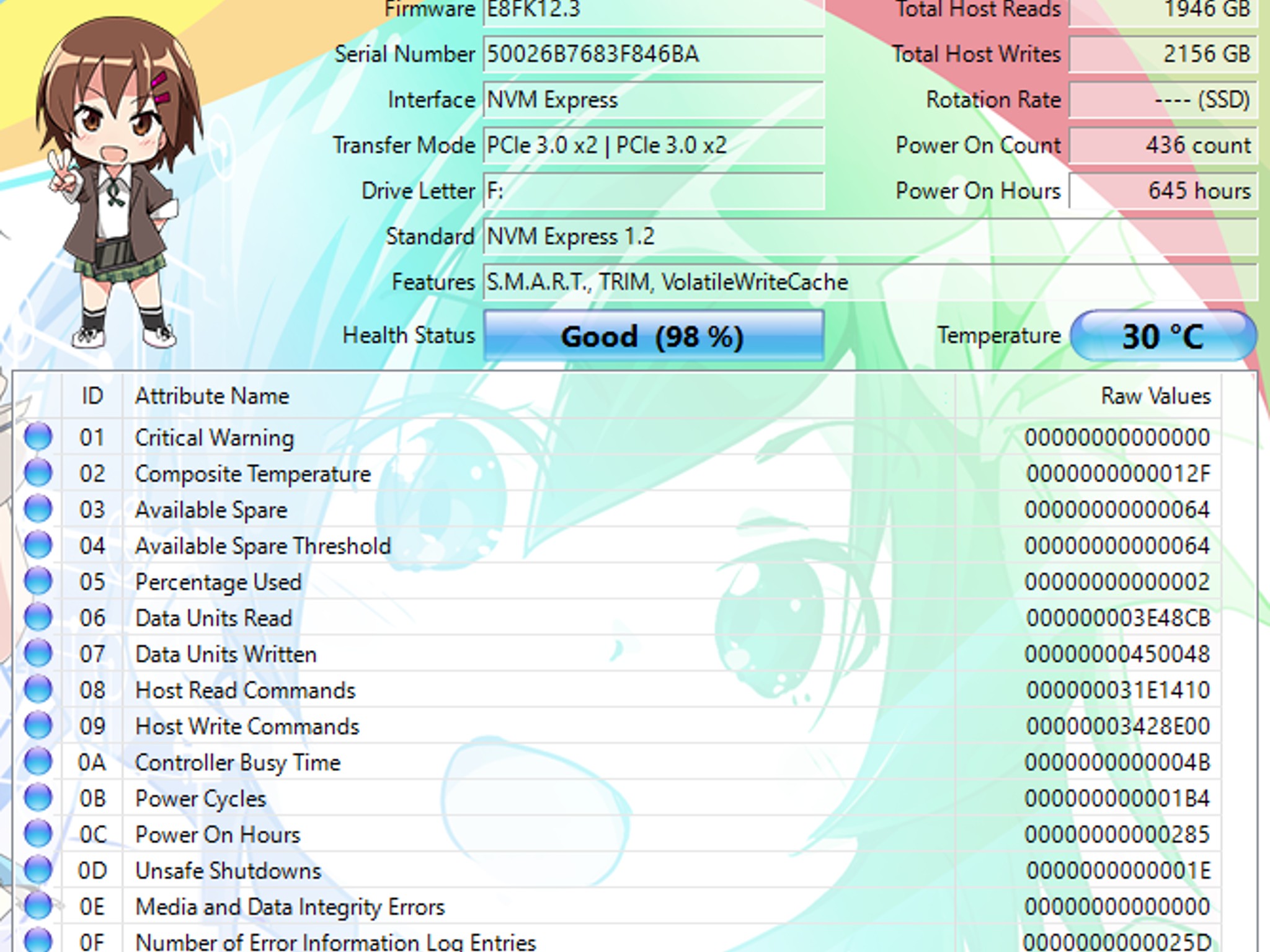 Kingston 256GB NVMe SSD
