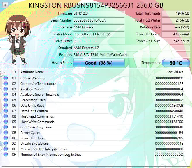 Kingston 256GB NVMe SSD