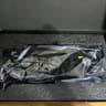 Gigabyte GeForce RTX 3080 Gaming OC 10G - No Mining, Gaming PC Only