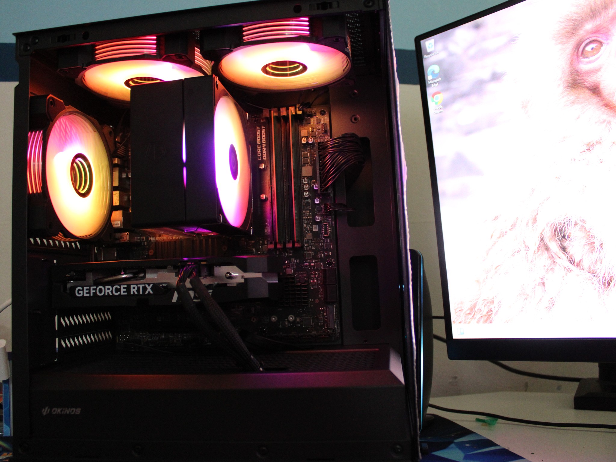 RTX 5050 8GB | Ryzen 5 5600| 16GB DDR4 | 500GB NVMe SSD | Gaming PC