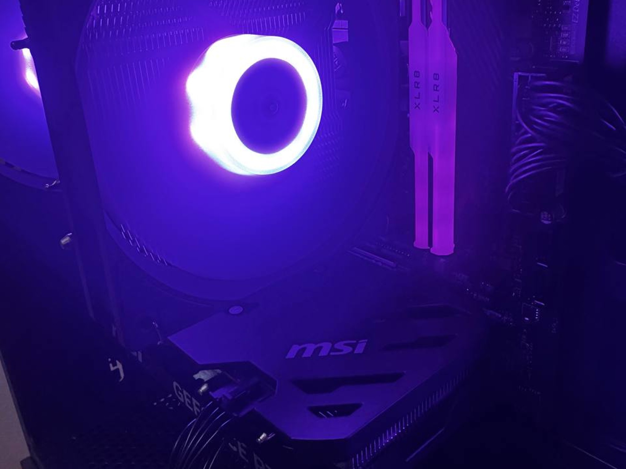 🟣 ShadowViolet 🟣  RTX 4060 | Ryzen 5 8400F | 32GB RAM | 1TB NVMe | AM5