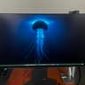 LG UltraGear OLED 27” (480hz Refresh Rate) 2560x1440 (2K) Resolution Gaming Monitor (27GX790A-B)