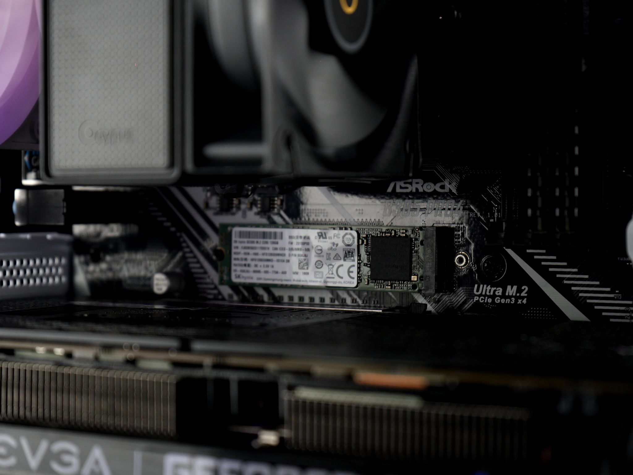 💜🪻🟣 PLUM - GTX 1080 Ti | intel i5 | 16GB RAM | 1.1TB SSD 🟣🪻💜