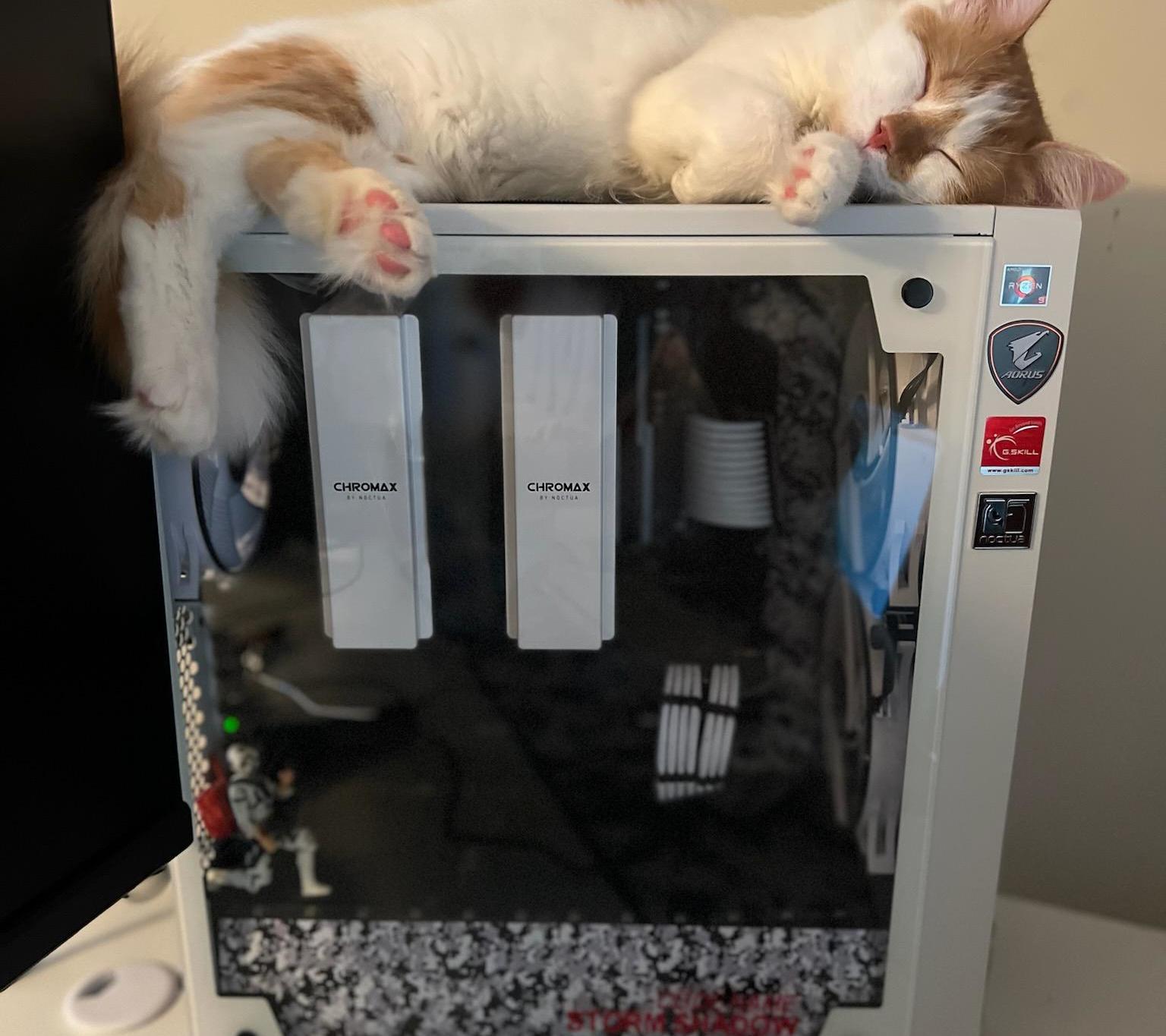 Custom Potato PC Builds