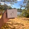 Airpod pros 3s On sale