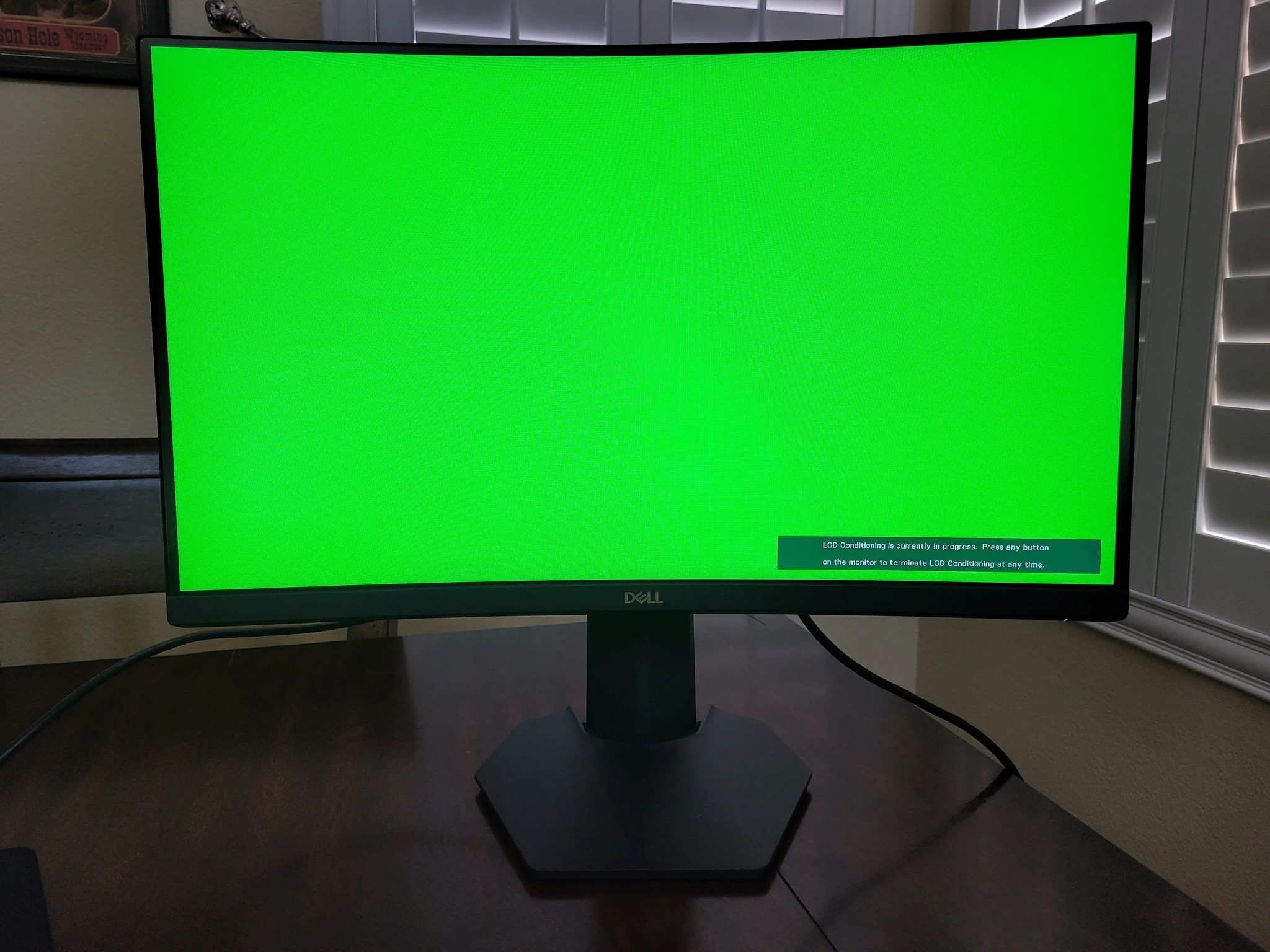 Dell S2422HG 23.6" (1080p/165 Hz/Curved Monitor)