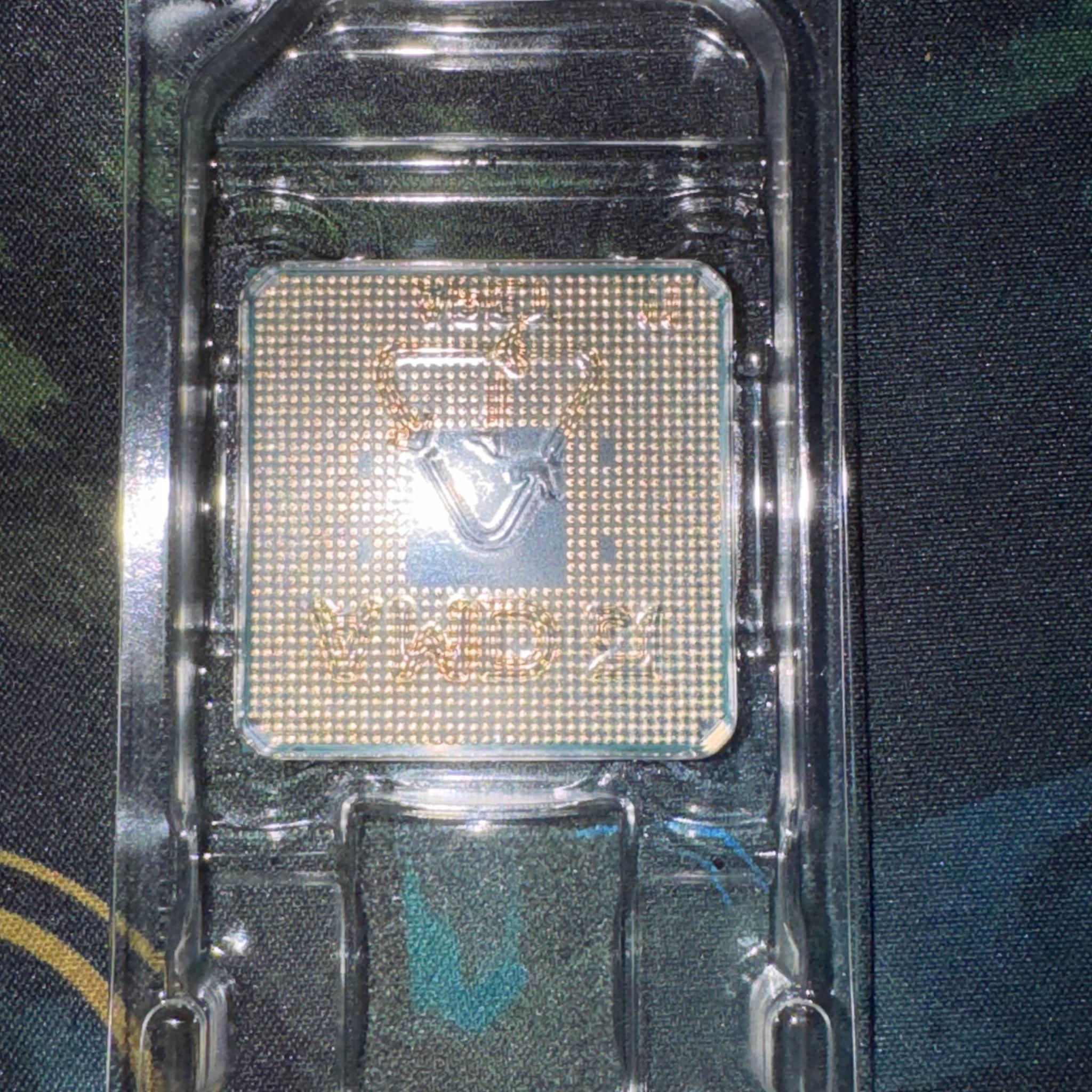 AMD Ryzen 5 5600