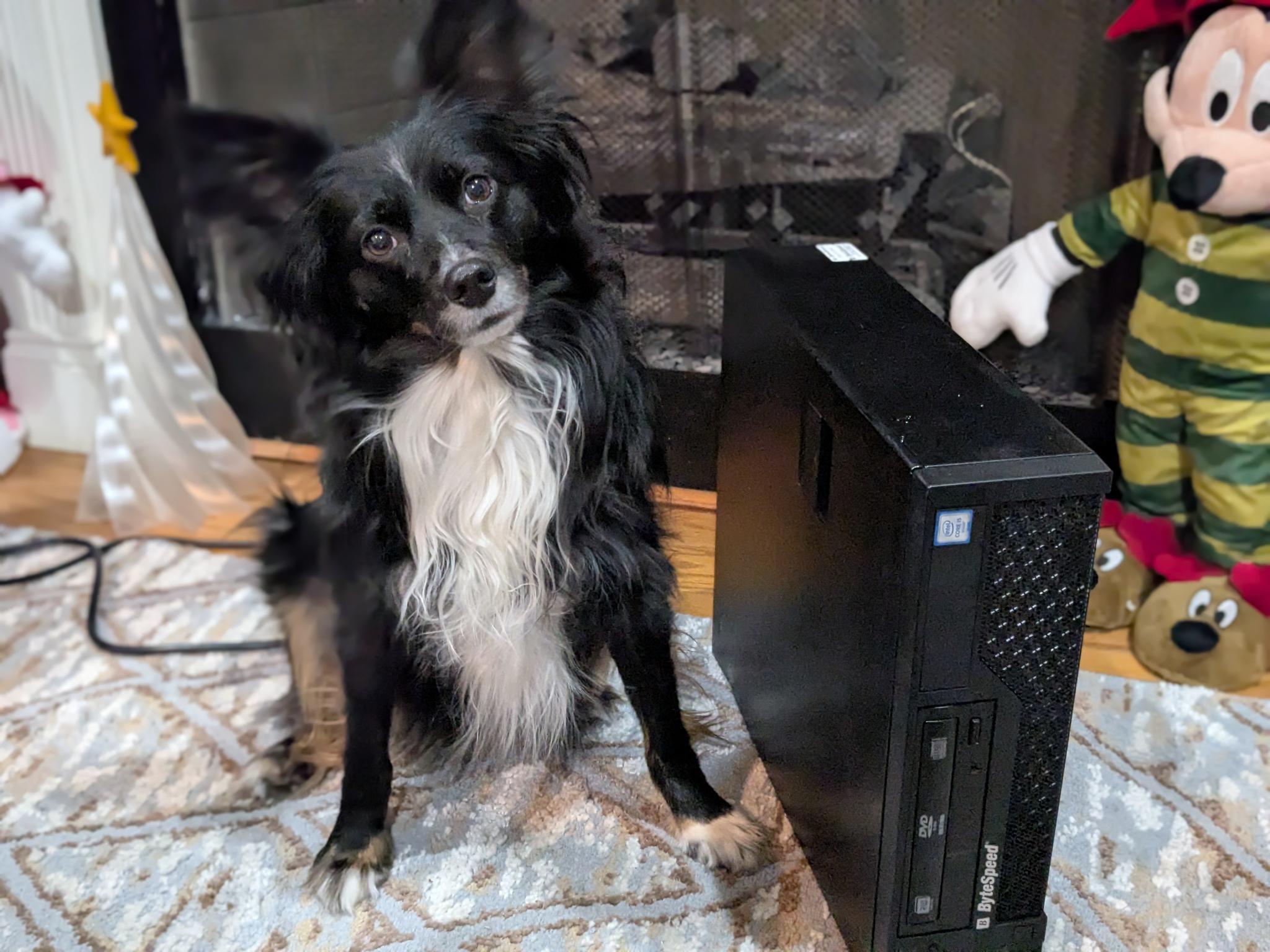 Minecraft/Roblox | 180 Day Warranty | i5-6400, 16GB RAM, 128GB SSD, 1TB HDD, 2GB Nvidia, Win11