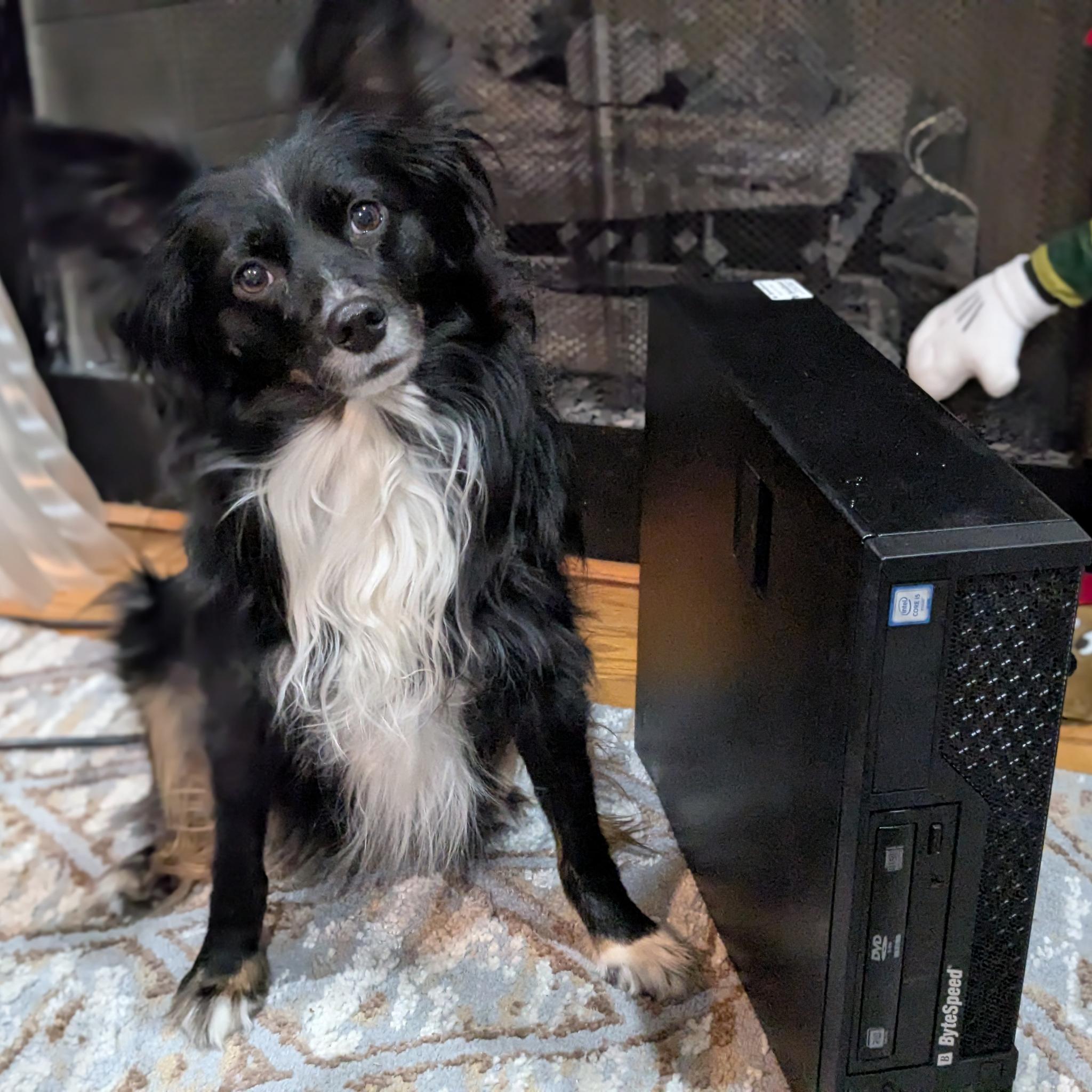 Minecraft/Roblox | 180 Day Warranty | i5-6400, 16GB RAM, 128GB SSD, 1TB HDD, 2GB Nvidia, Win11