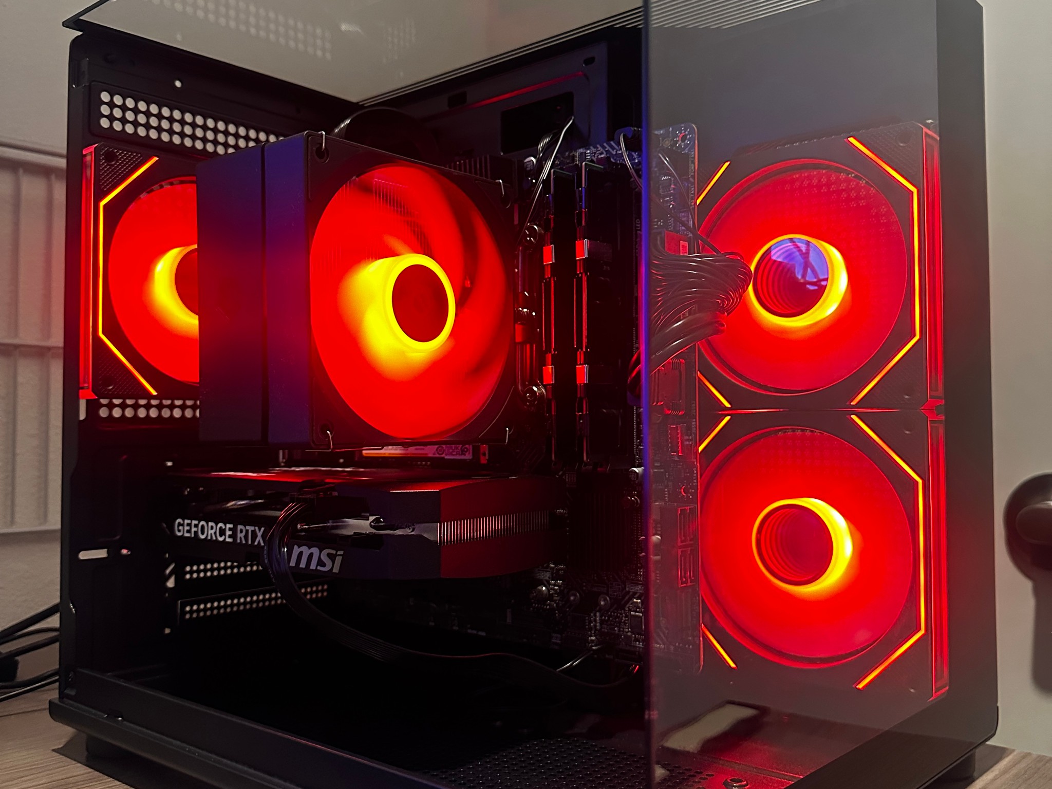 RTX 5060 FISH TANK BUILD