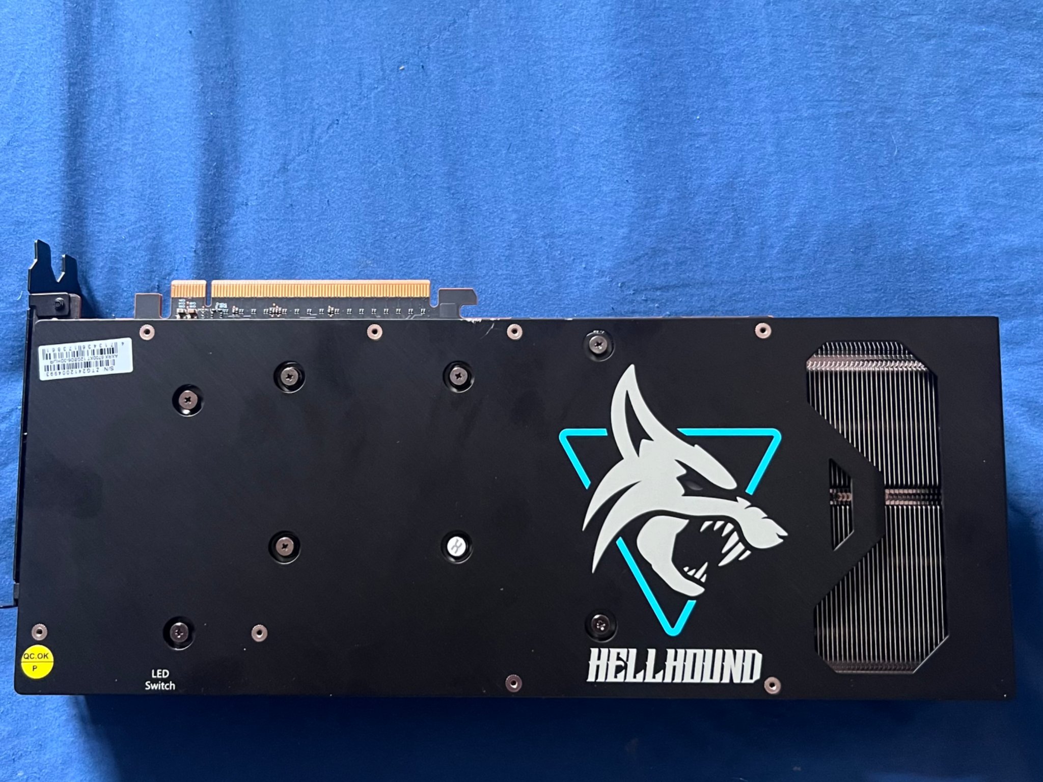 HellHound 🐺 6700XT
