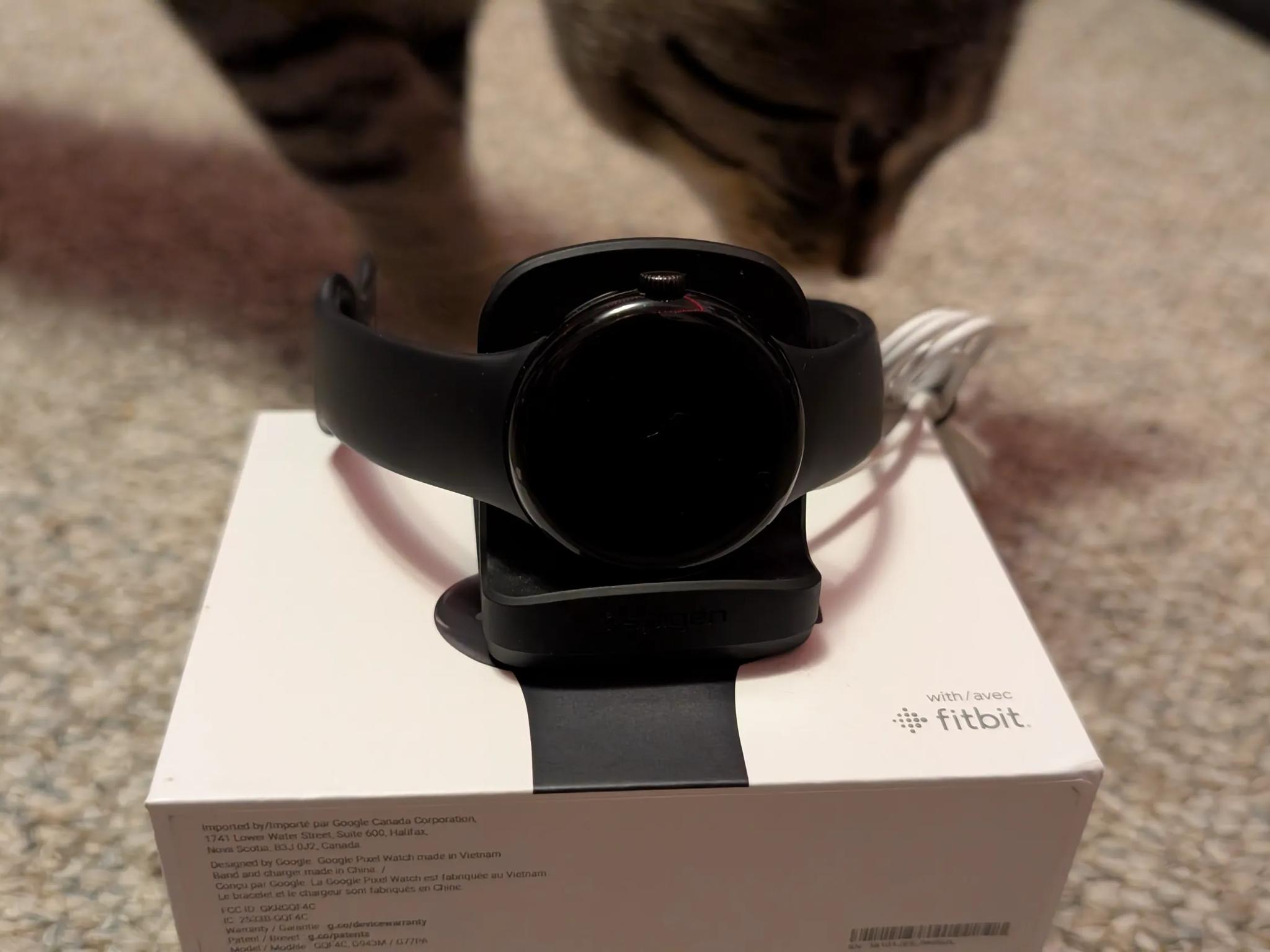 Google Pixel Watch (First Generation)
