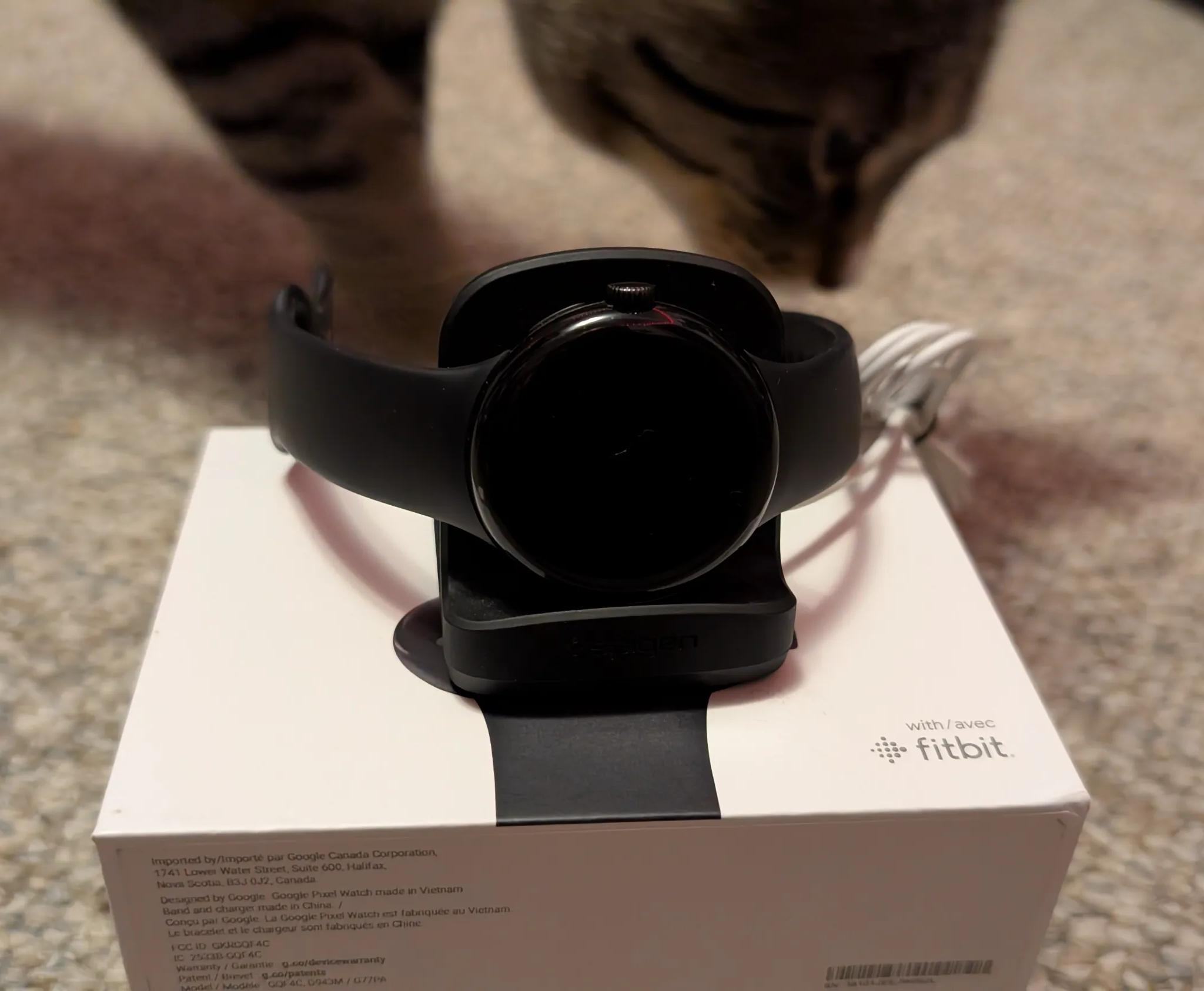 Google Pixel Watch (First Generation)