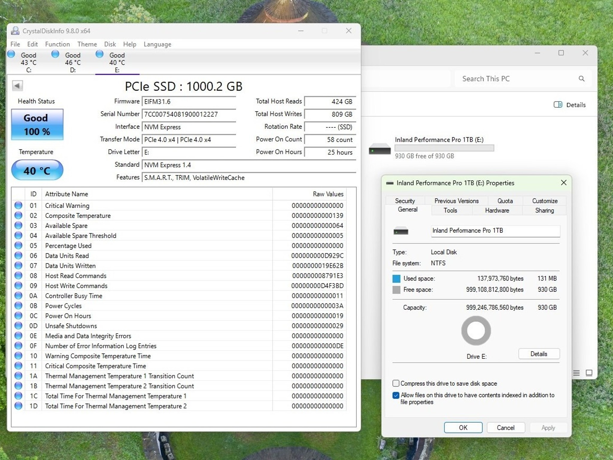 Inland Performance Plus 1TB NVME SSD