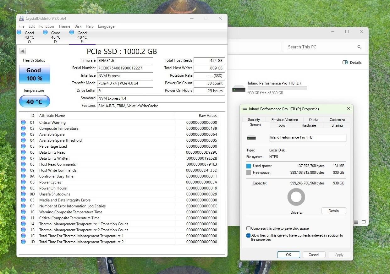 Inland Performance Plus 1TB NVME SSD