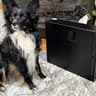 Minecraft/Roblox | 180 Day Warranty | i5-6400, 16GB RAM, 128GB SSD, 1TB HDD, 2GB Nvidia, Win11
