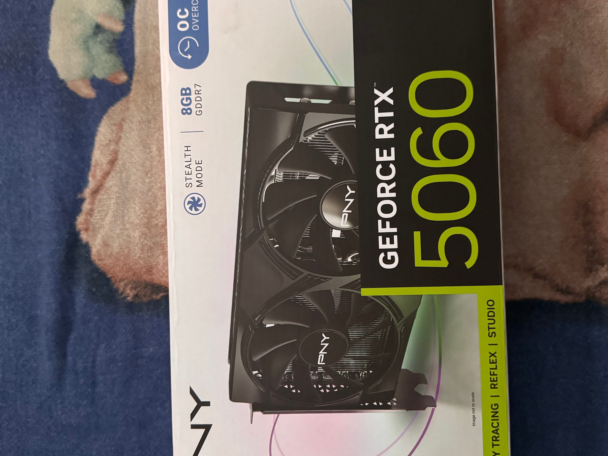 PNY GeForce RTX 5060 OC