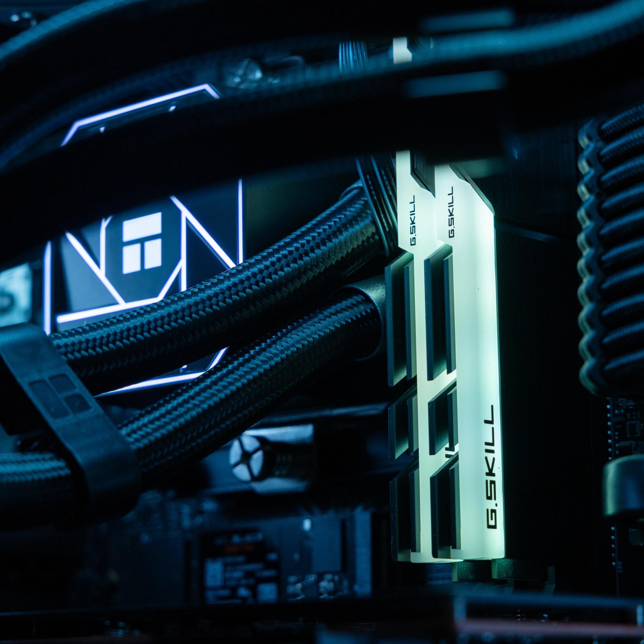 🐺 Cerberus 🐺 AMD RX 5700 XT / Intel Core i5-12500 / 1TB NVME / 32GB Ram / 240 AIO / Windows 11 Pro