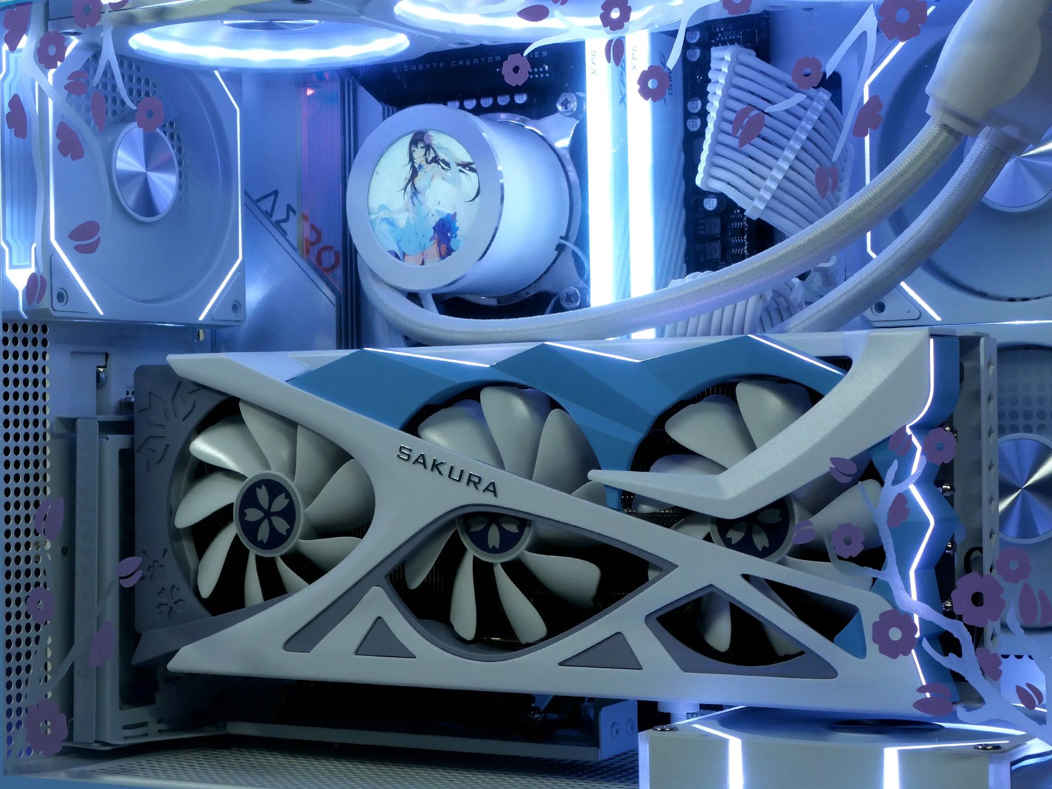 🌸Sakura 🩵|💜 RX 7800XT, i5 13600kf, 32GB DDR5, 2TB nvme