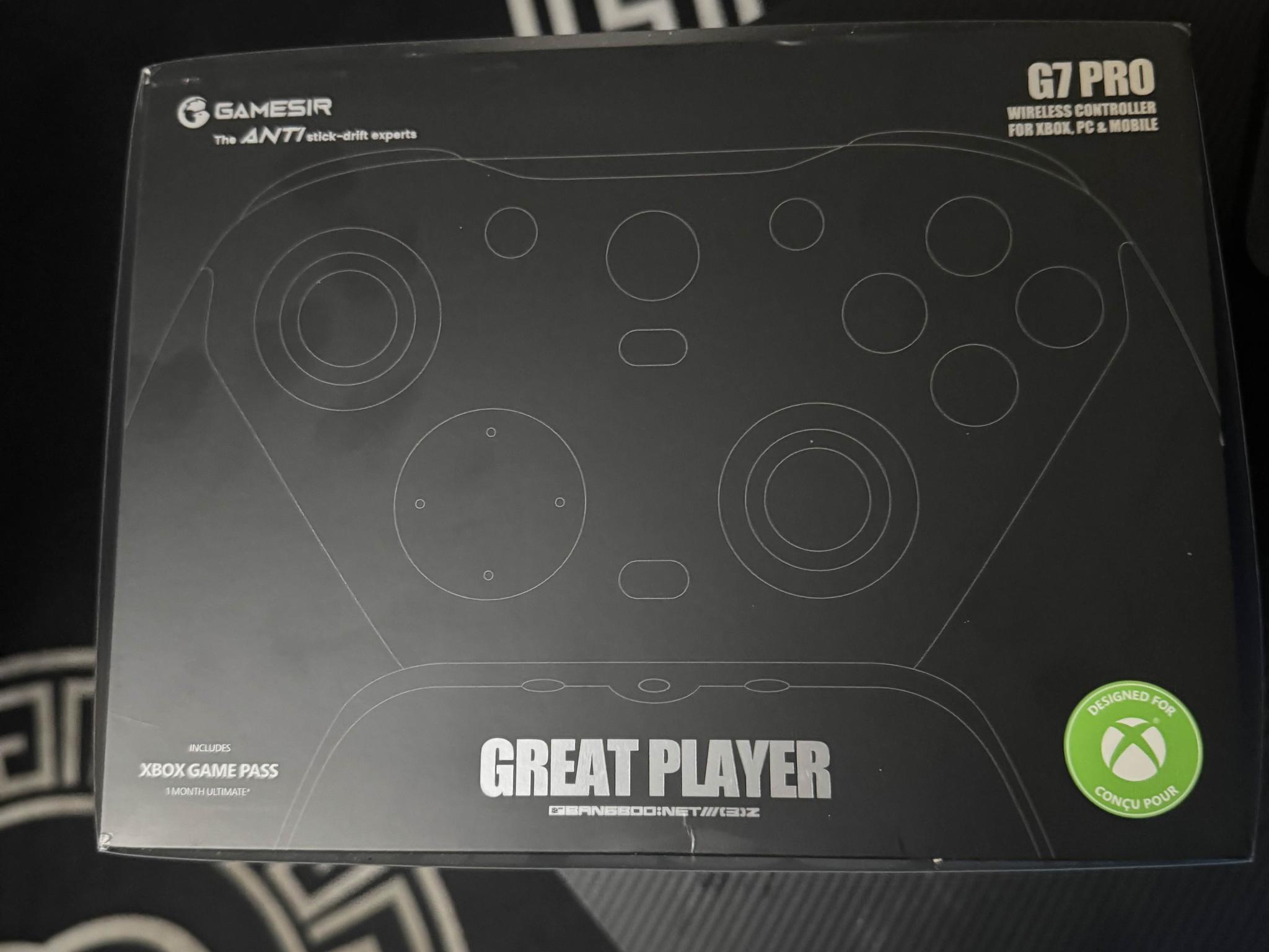 Zenless Zone Zero Game Sir Controller