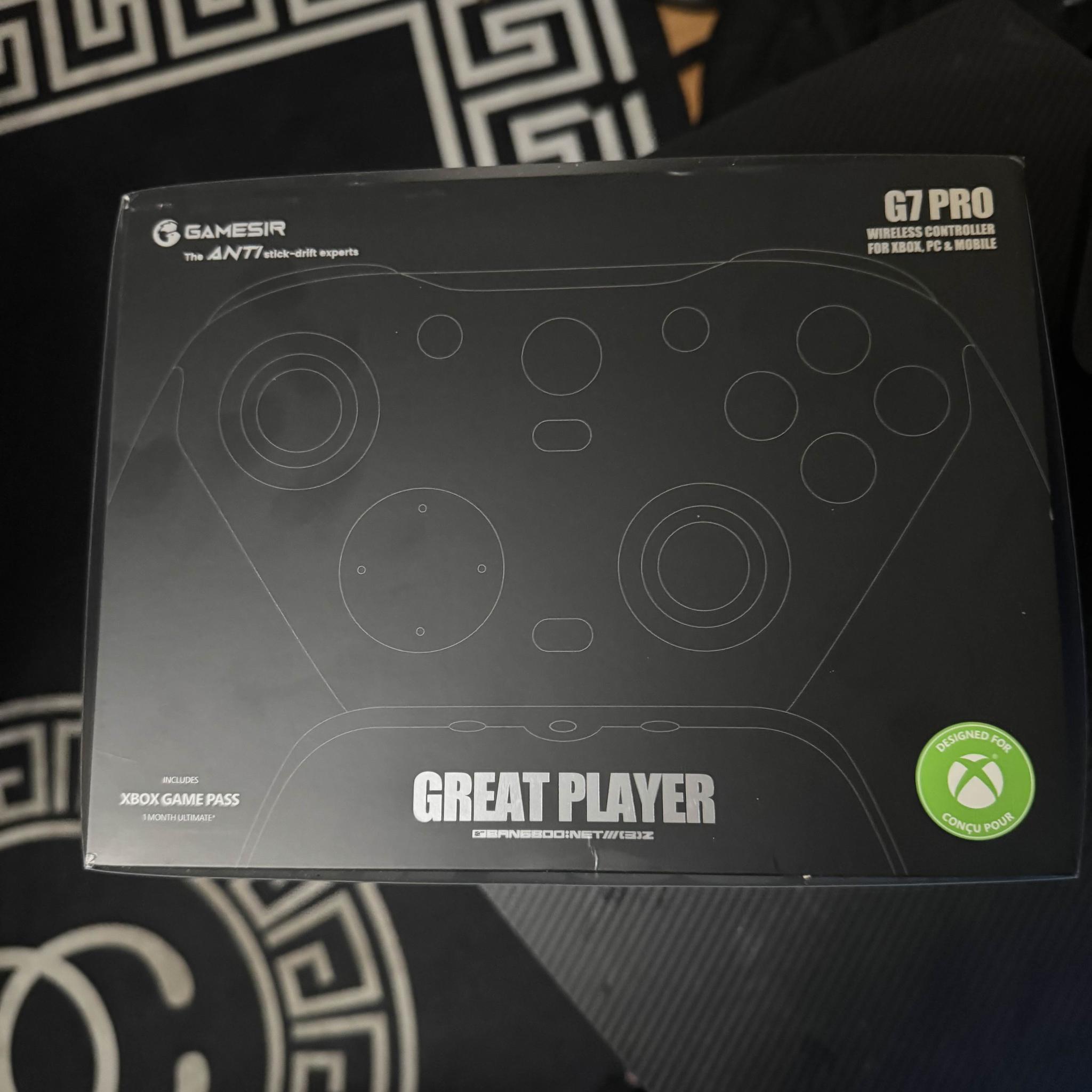 Zenless Zone Zero Game Sir Controller