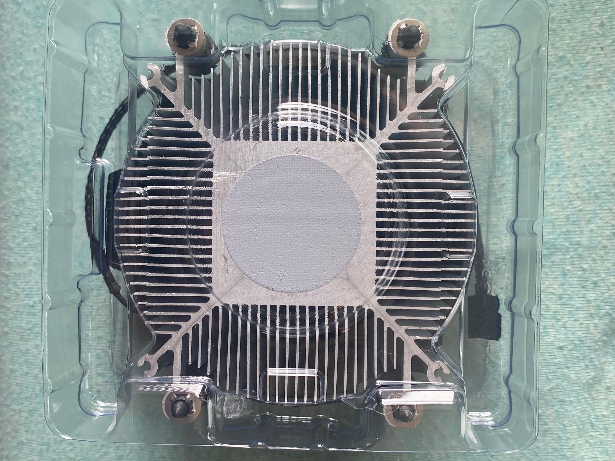 AMD Ryzen 5 8600G
