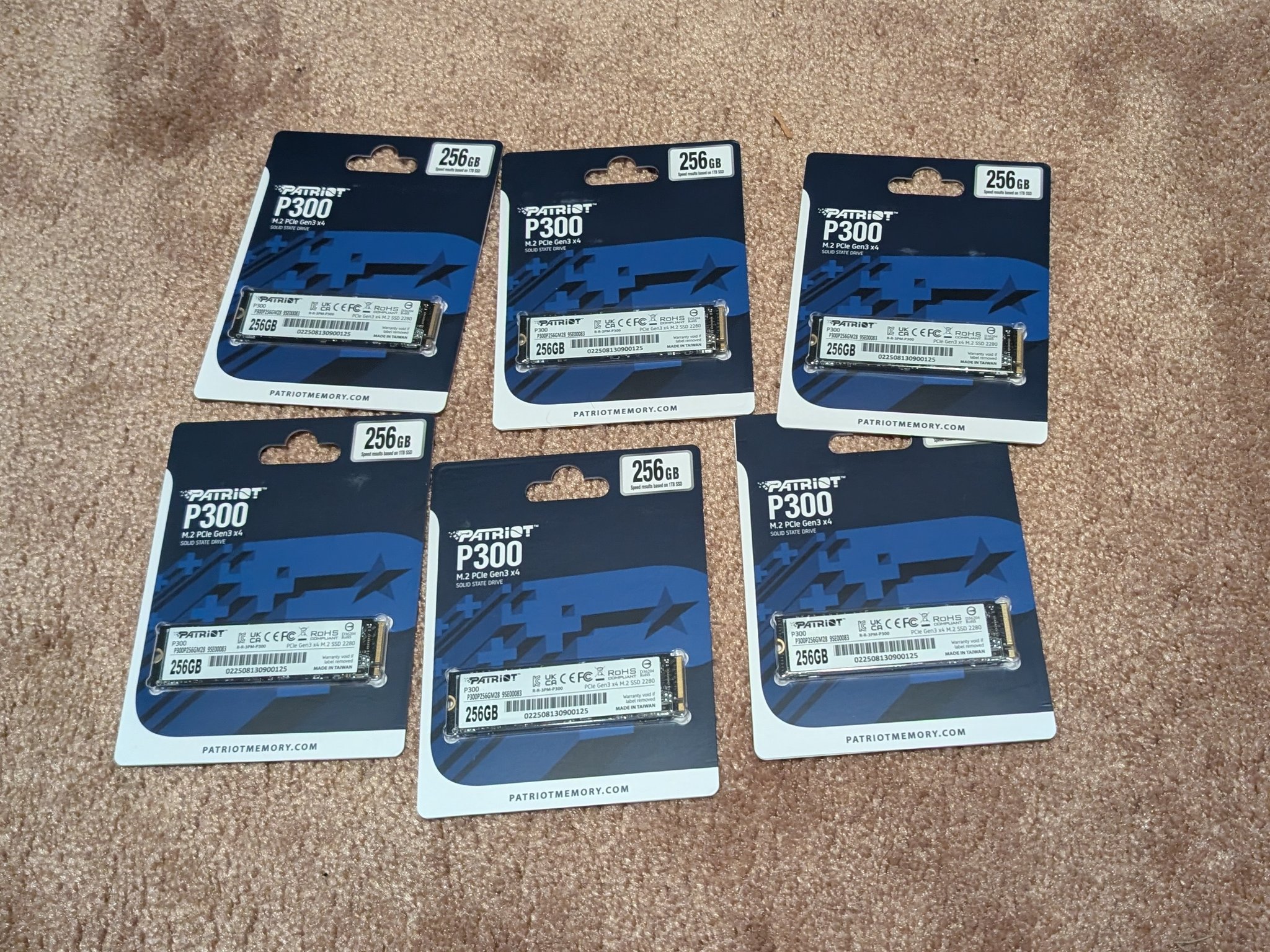 Lot of 6 Patriot P300 M.2 PCIe 256GB Low-Power Consumption SSD