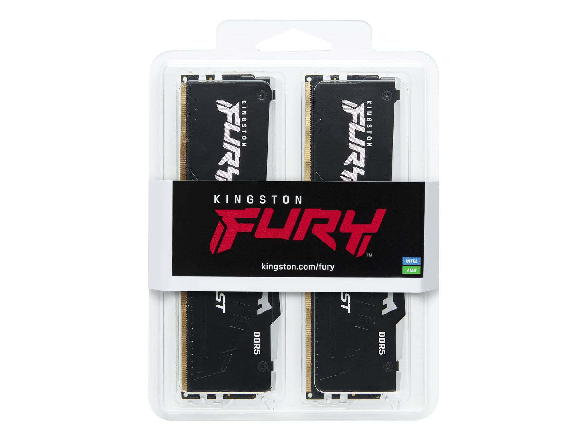 Kingston Fury beast