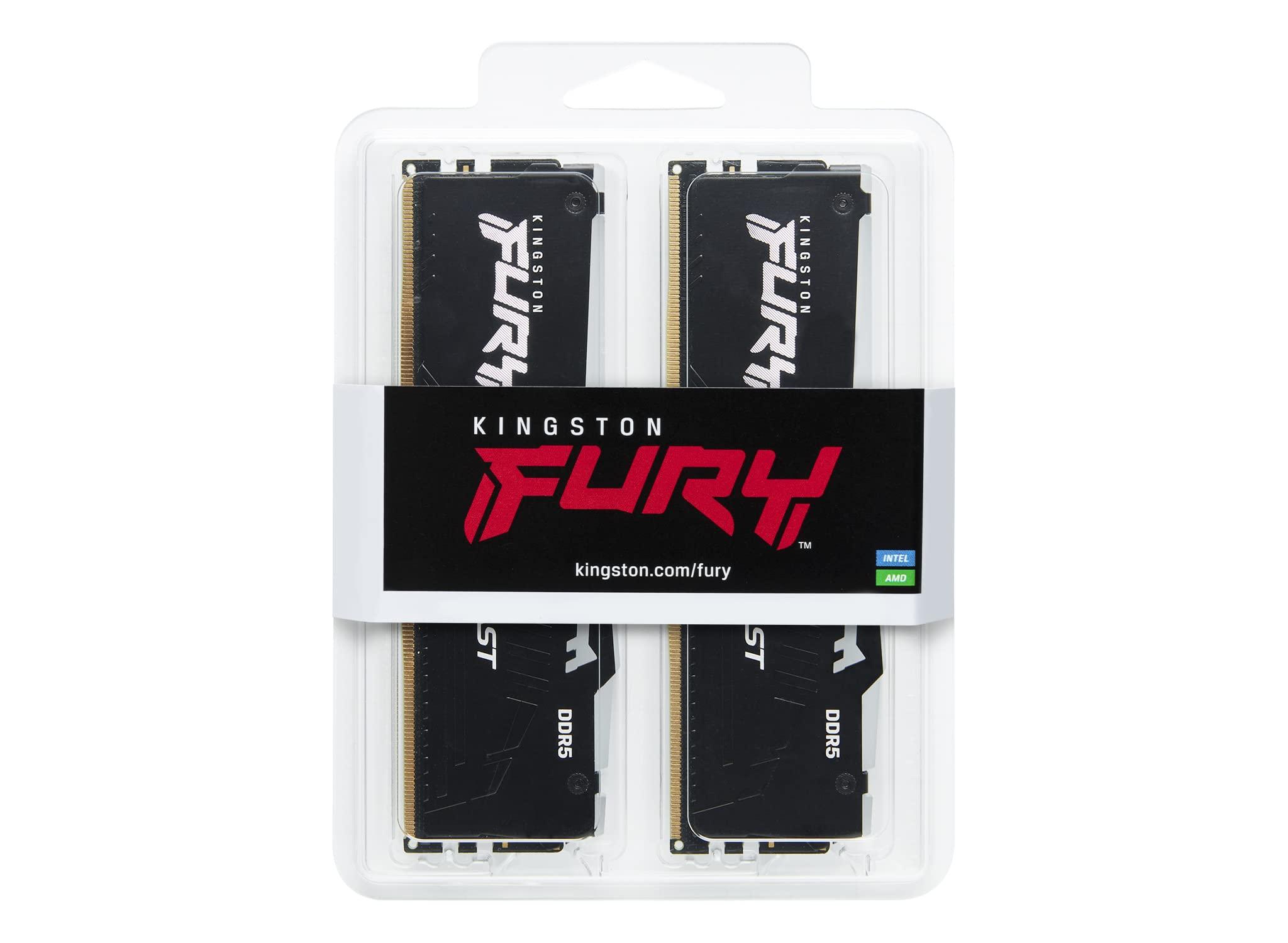 Kingston Fury beast