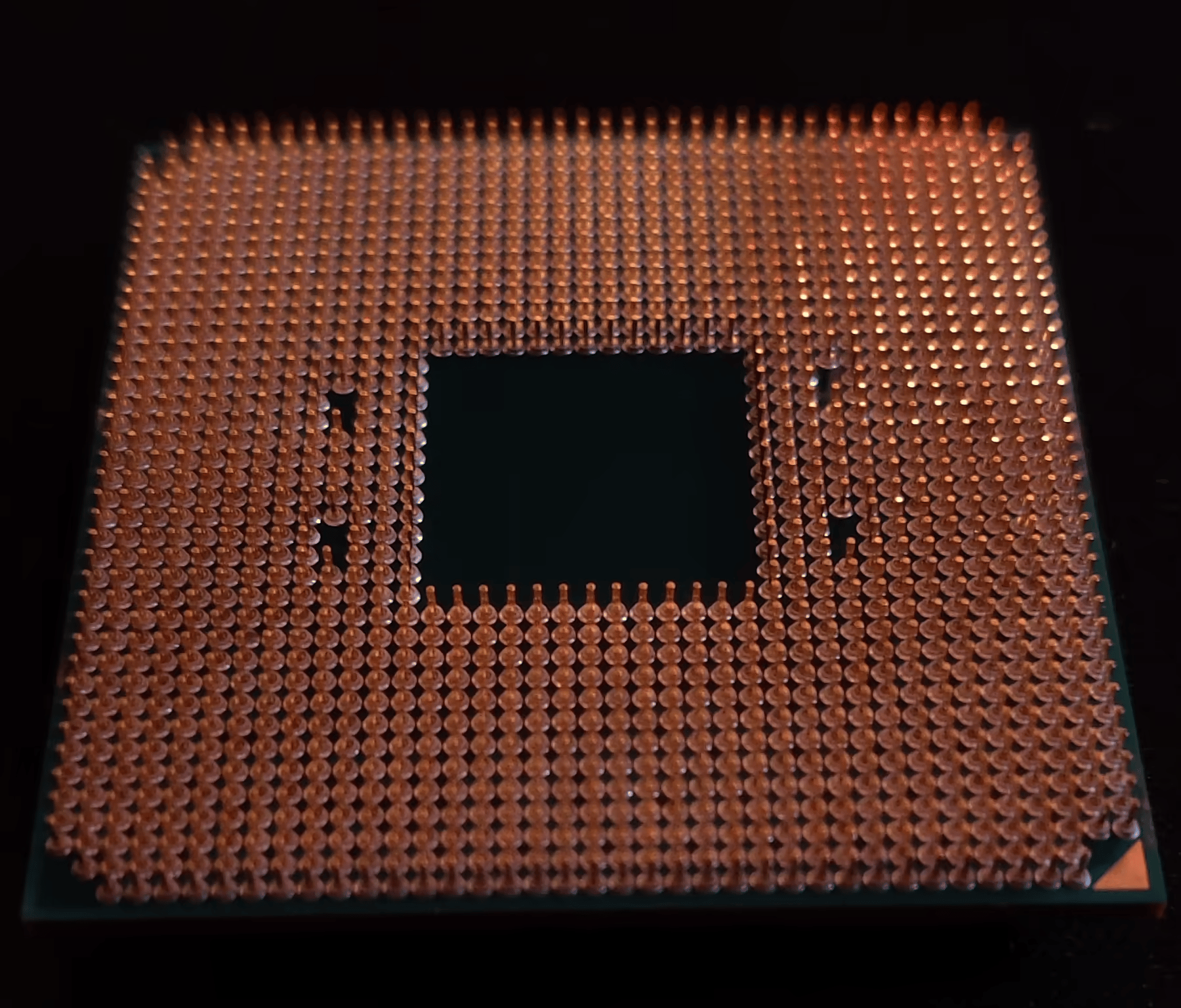 AMD Ryzen 5 5600x