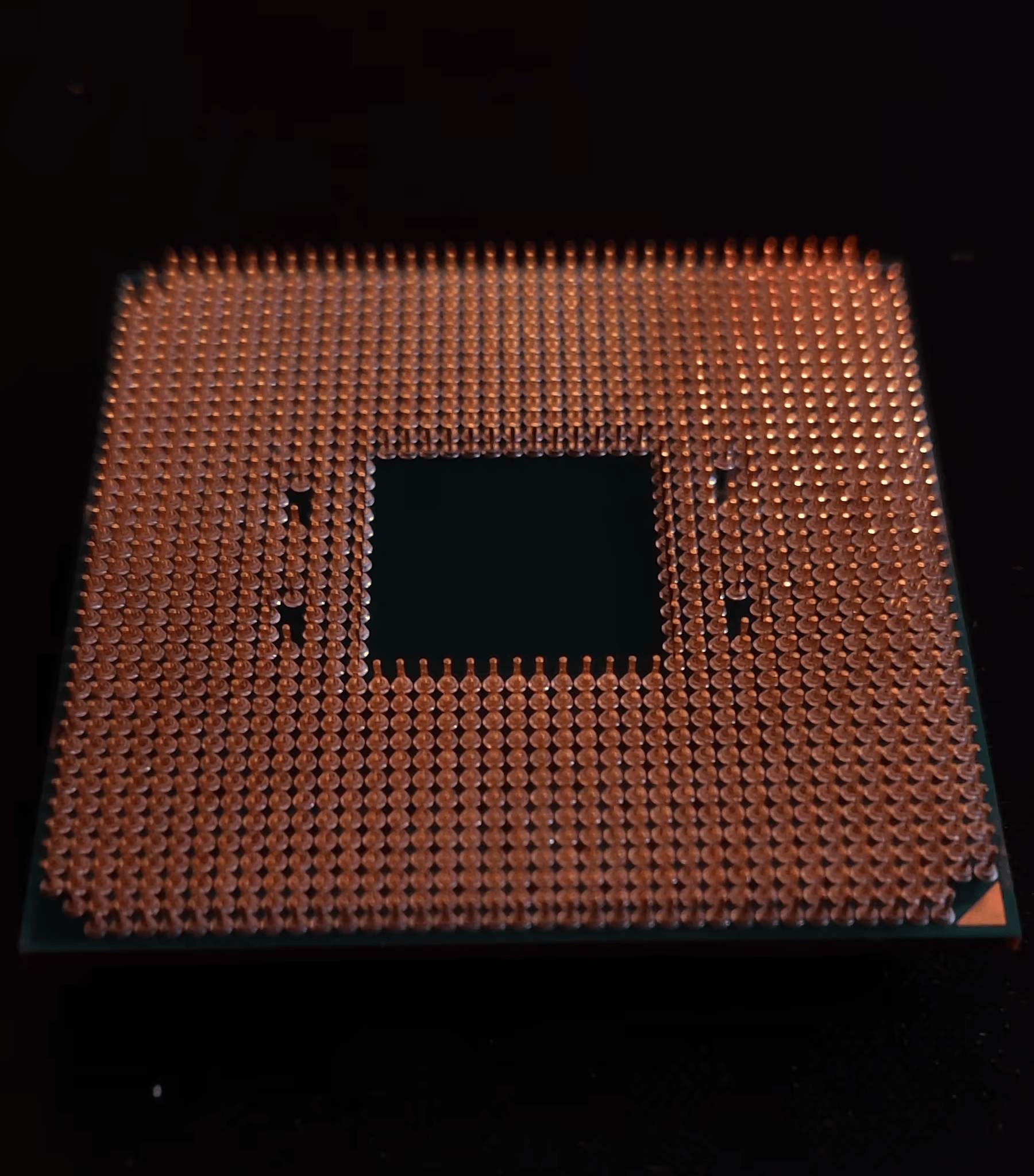 AMD Ryzen 5 5600x