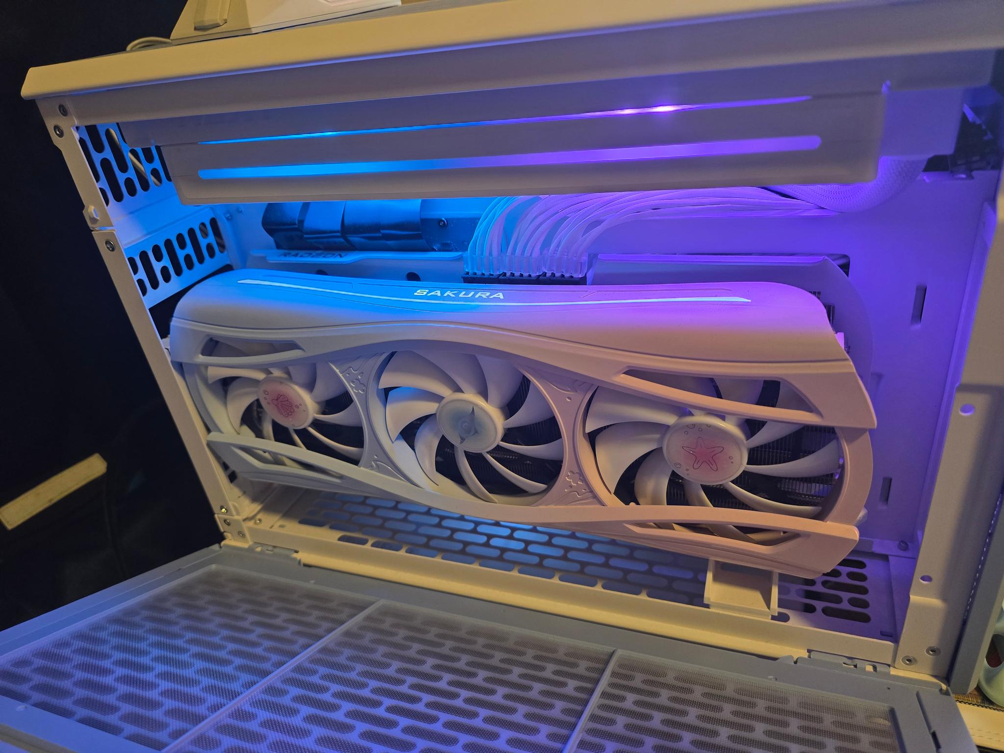 TR100 Hydrangea Blue PC