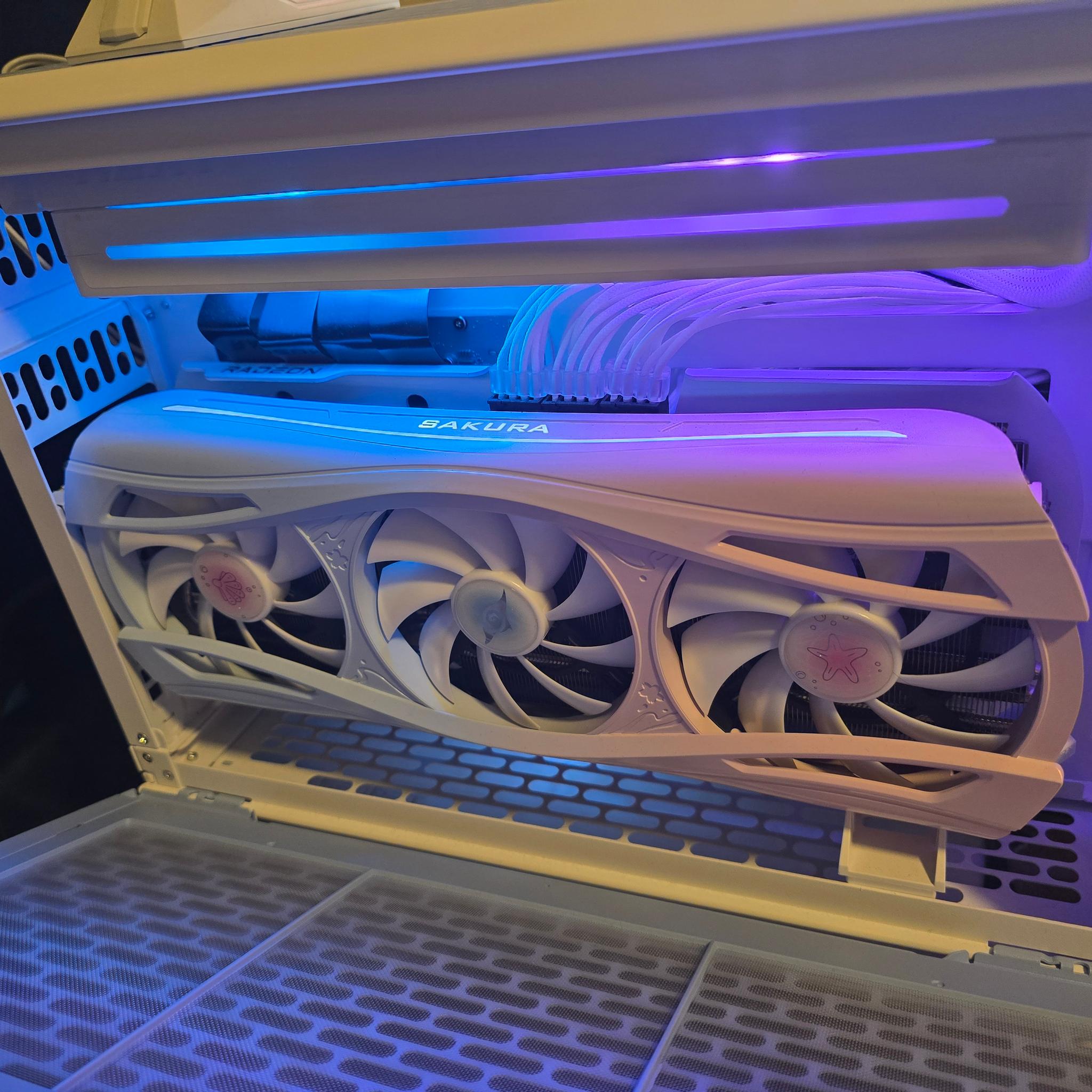 TR100 Hydrangea Blue PC